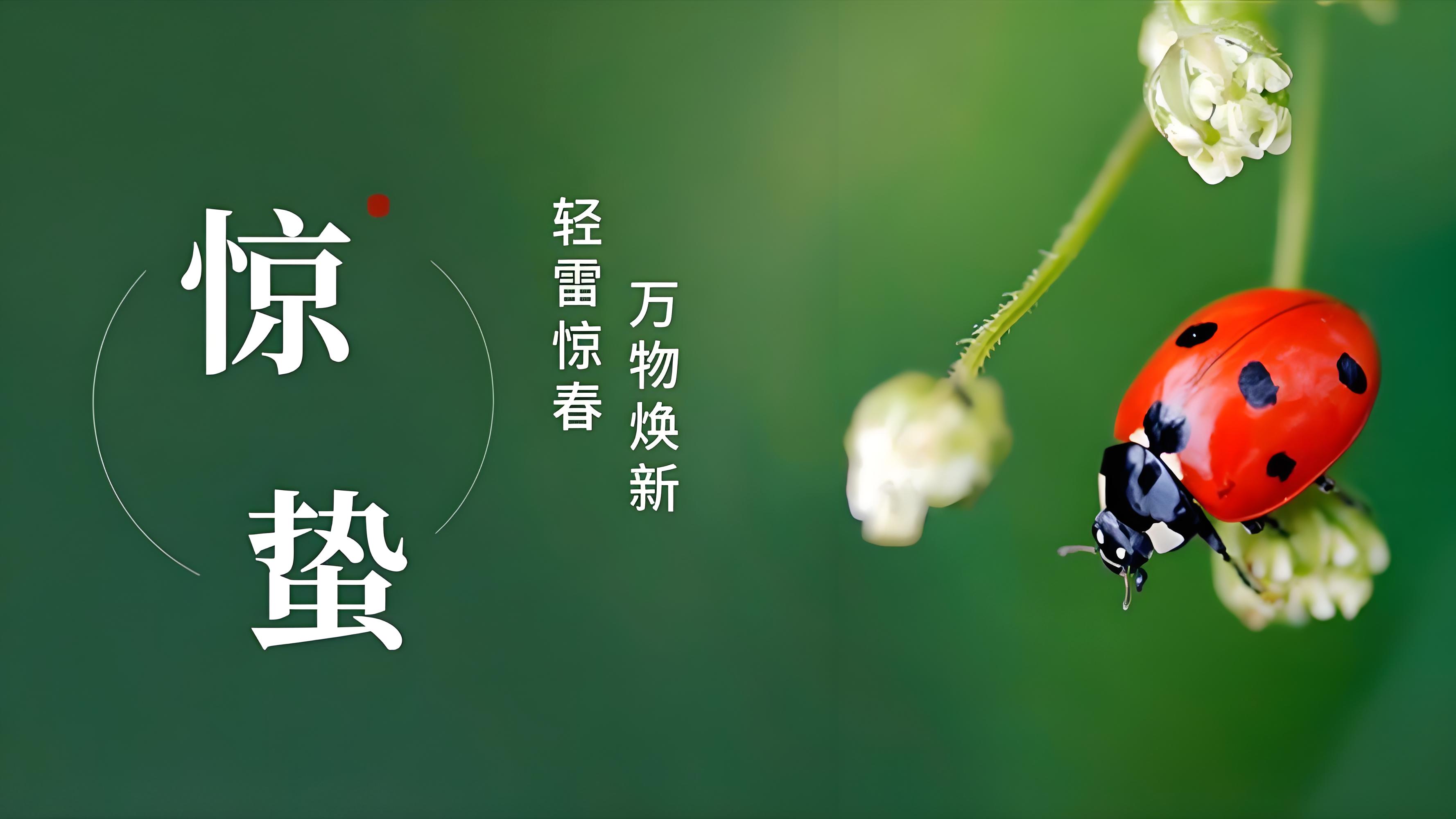 惊蛰｜春雷始鸣，万物向阳而生